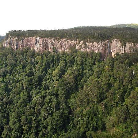 Вилла Springbrook Lyrebird Retreat Экстерьер фото