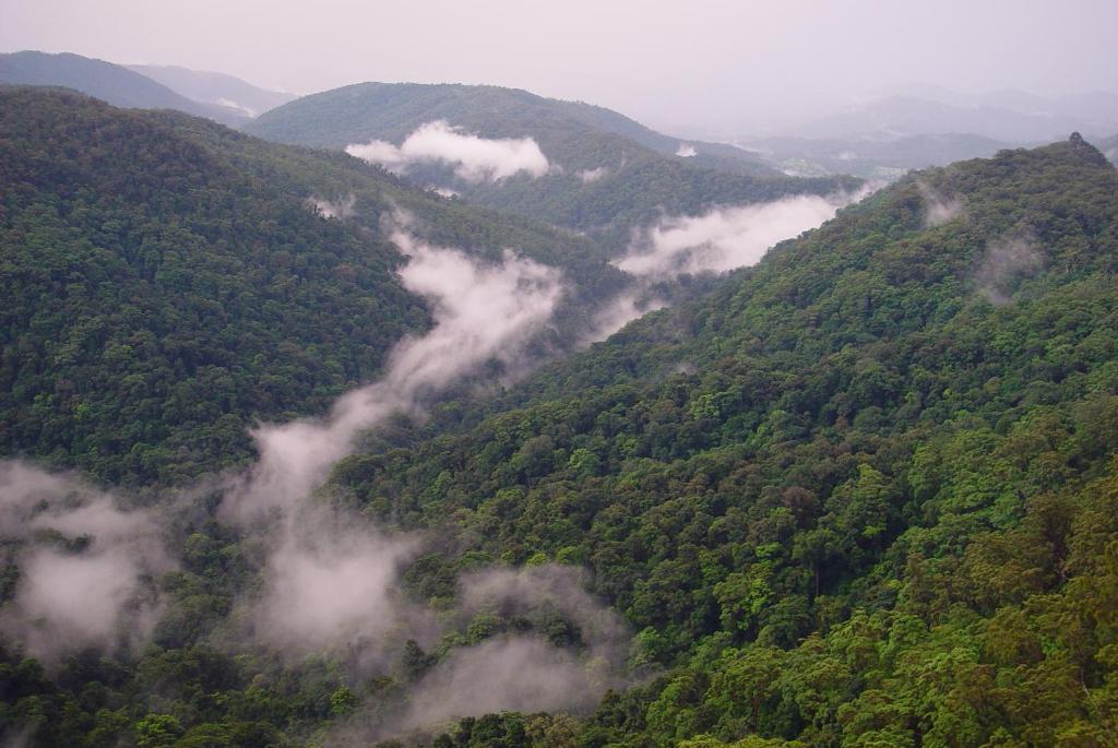Вилла Springbrook Lyrebird Retreat Экстерьер фото
