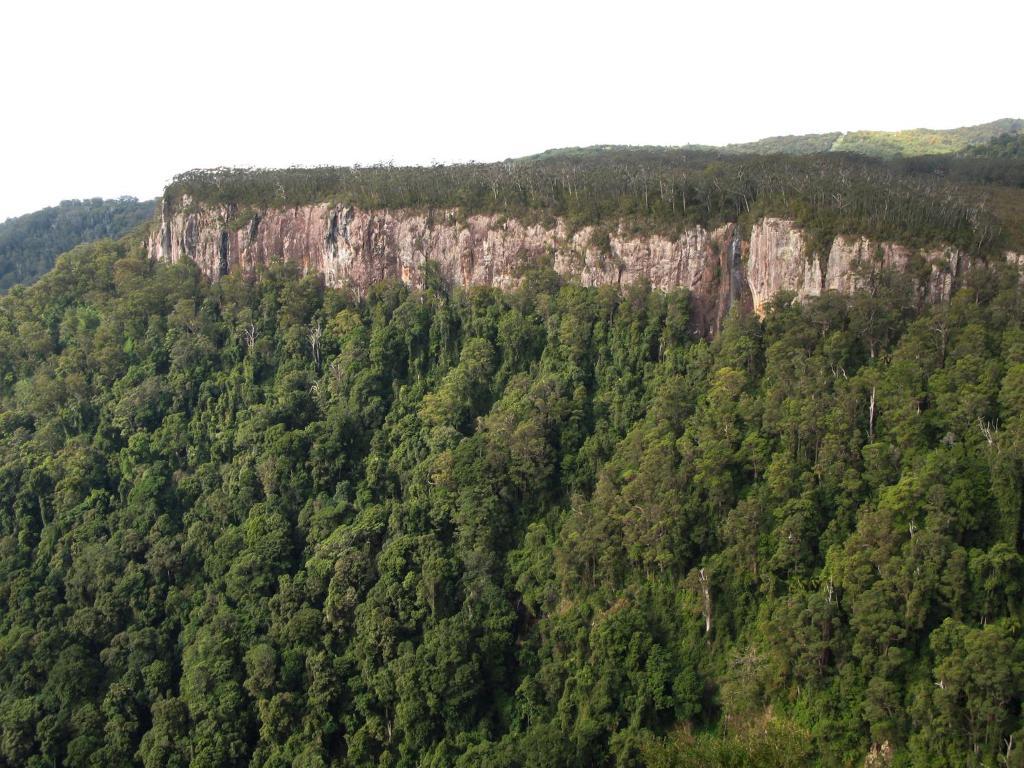 Вилла Springbrook Lyrebird Retreat Экстерьер фото