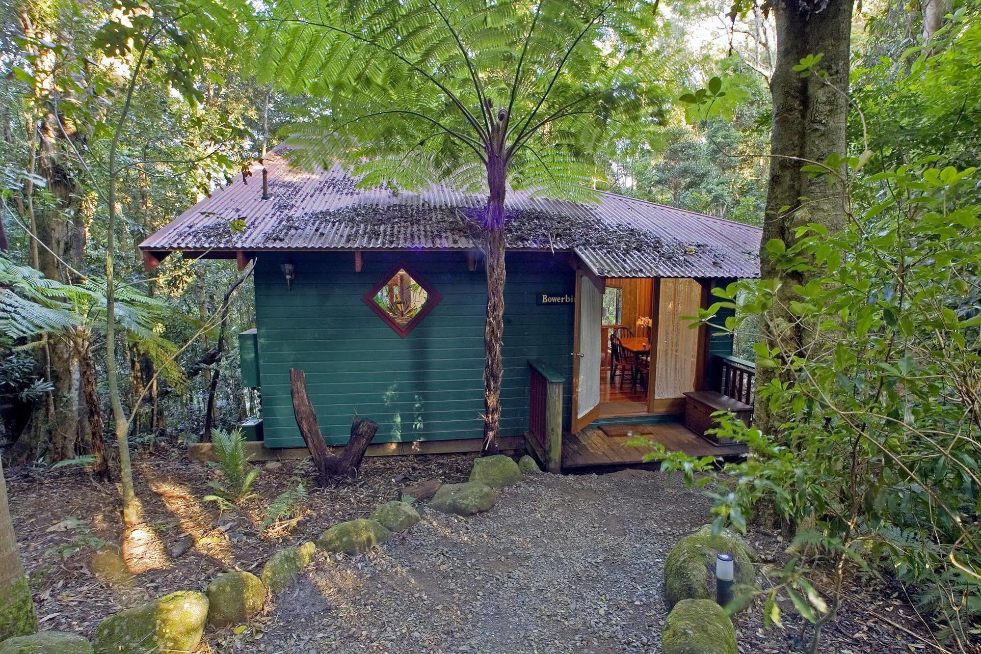 Вилла Springbrook Lyrebird Retreat Экстерьер фото