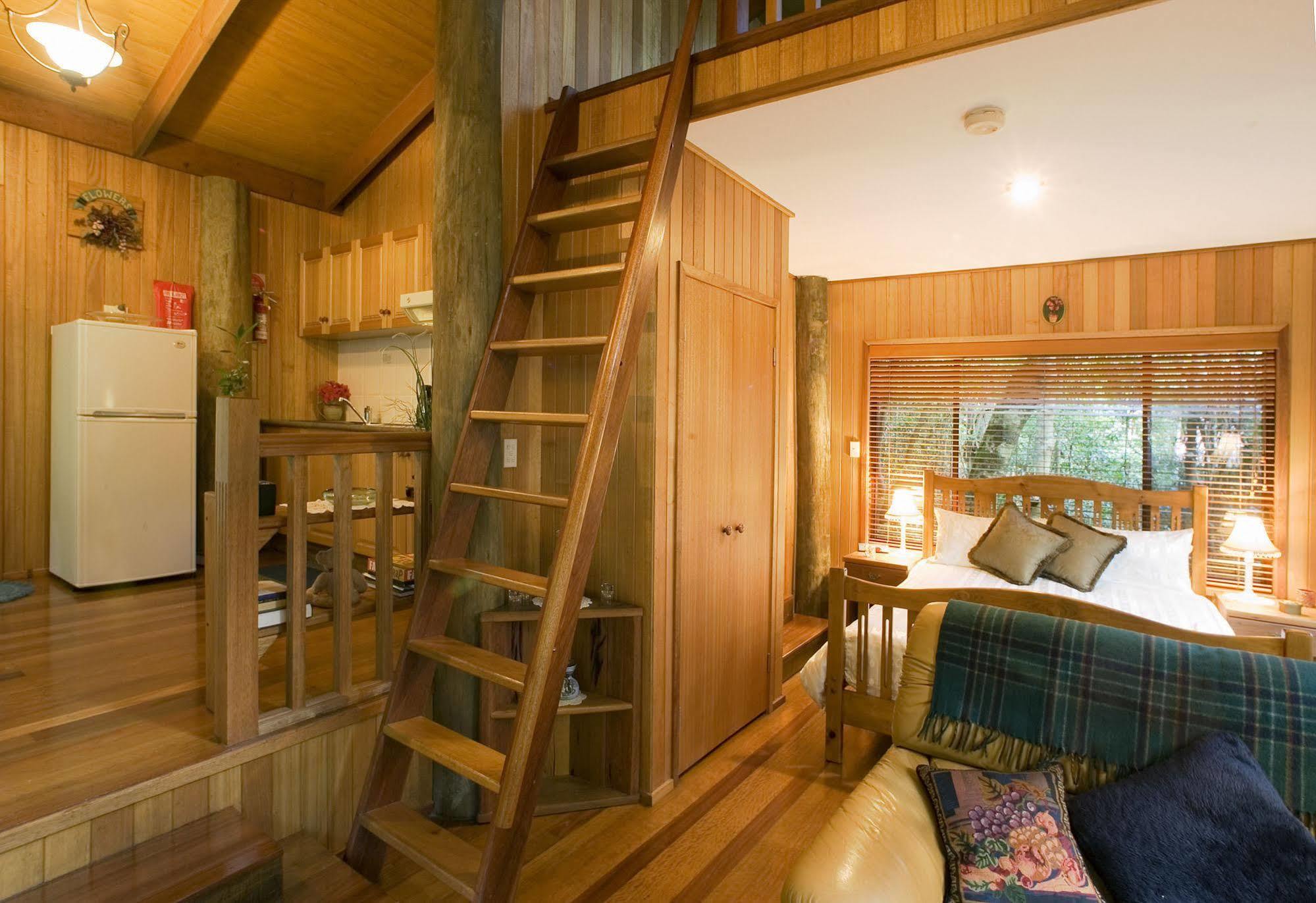 Вилла Springbrook Lyrebird Retreat Экстерьер фото