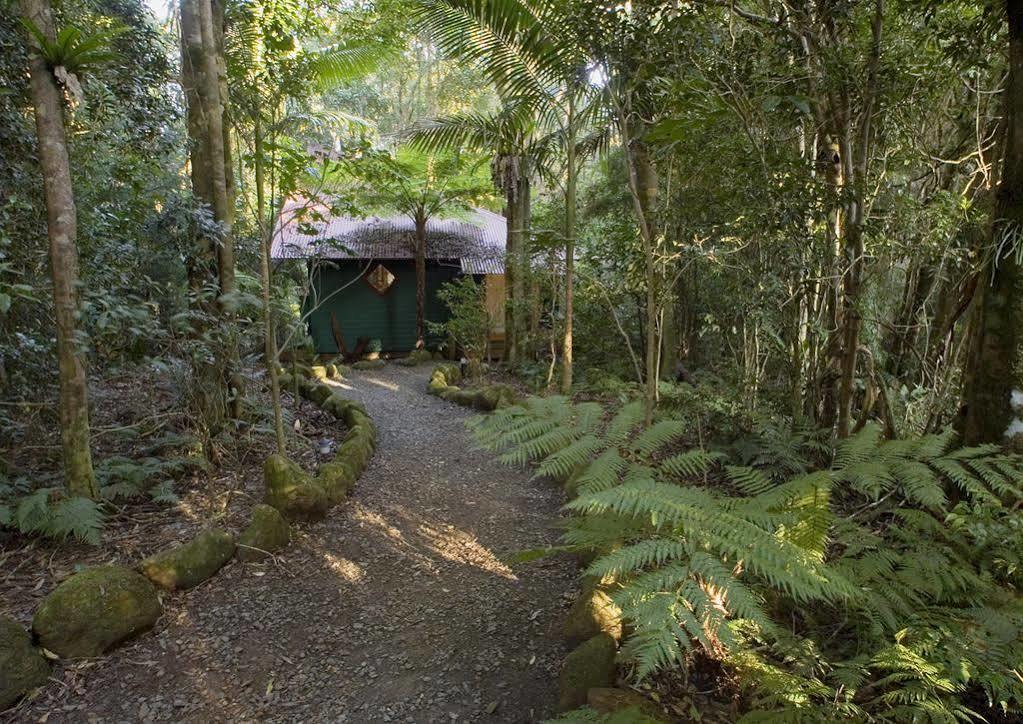 Вилла Springbrook Lyrebird Retreat Экстерьер фото