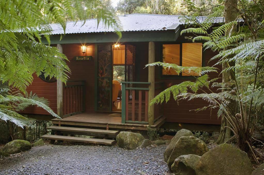 Вилла Springbrook Lyrebird Retreat Экстерьер фото