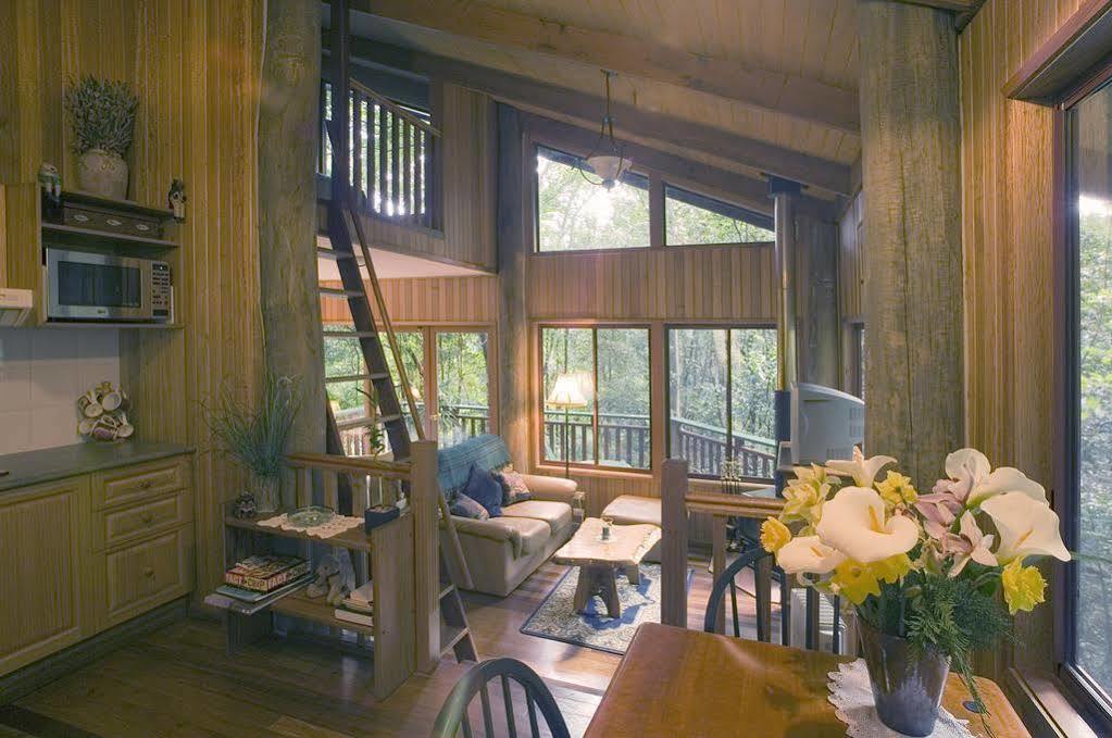 Вилла Springbrook Lyrebird Retreat Экстерьер фото